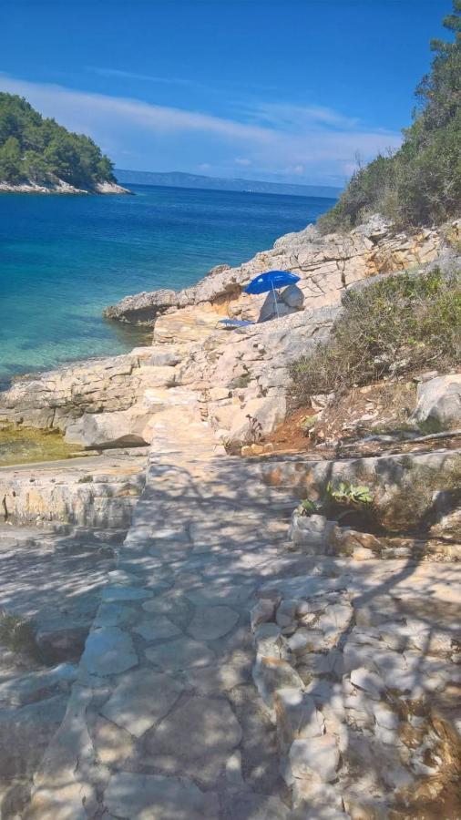 Villa Stone House Mia Vela Luka Exterior foto
